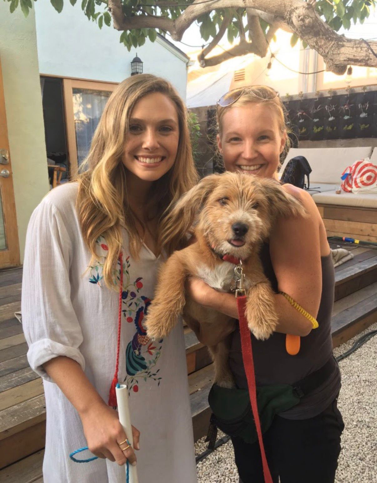 Anastasia Lavian working with a dog